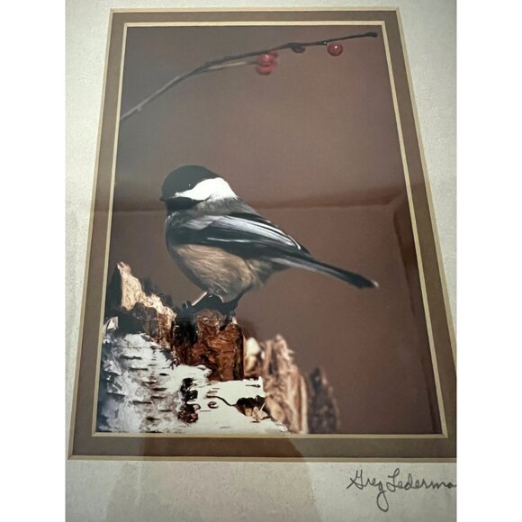 Signed Greg Ledermann Carolina Chickadee Photograph 7×5 Framed Bird Nature Art - Picture 2 of 5